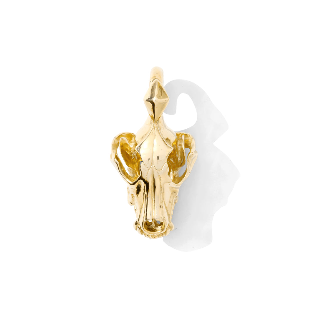 Coyote Skull Weight