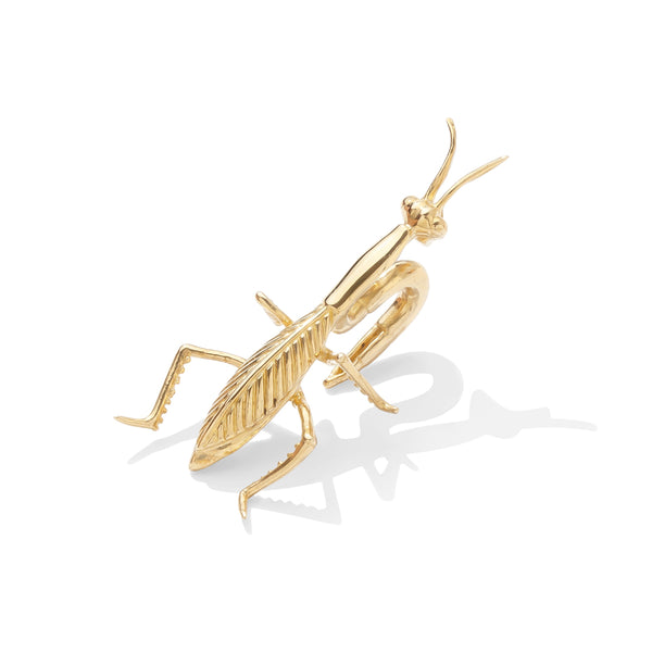 Praying Mantis Weight | TAWAPA