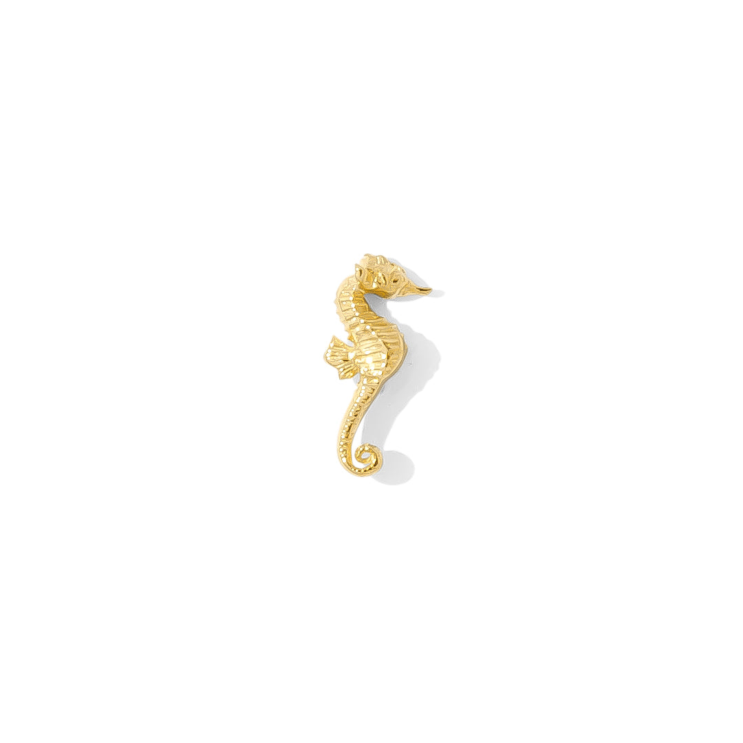 Seahorse Pin